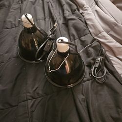 Reptile Heat Lamps