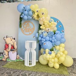 Balloon Backdrop & Arches