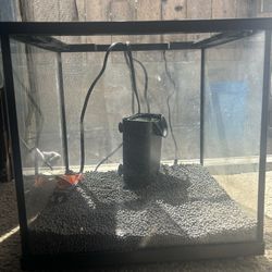 7.5 Gallon Shrimp Tank 