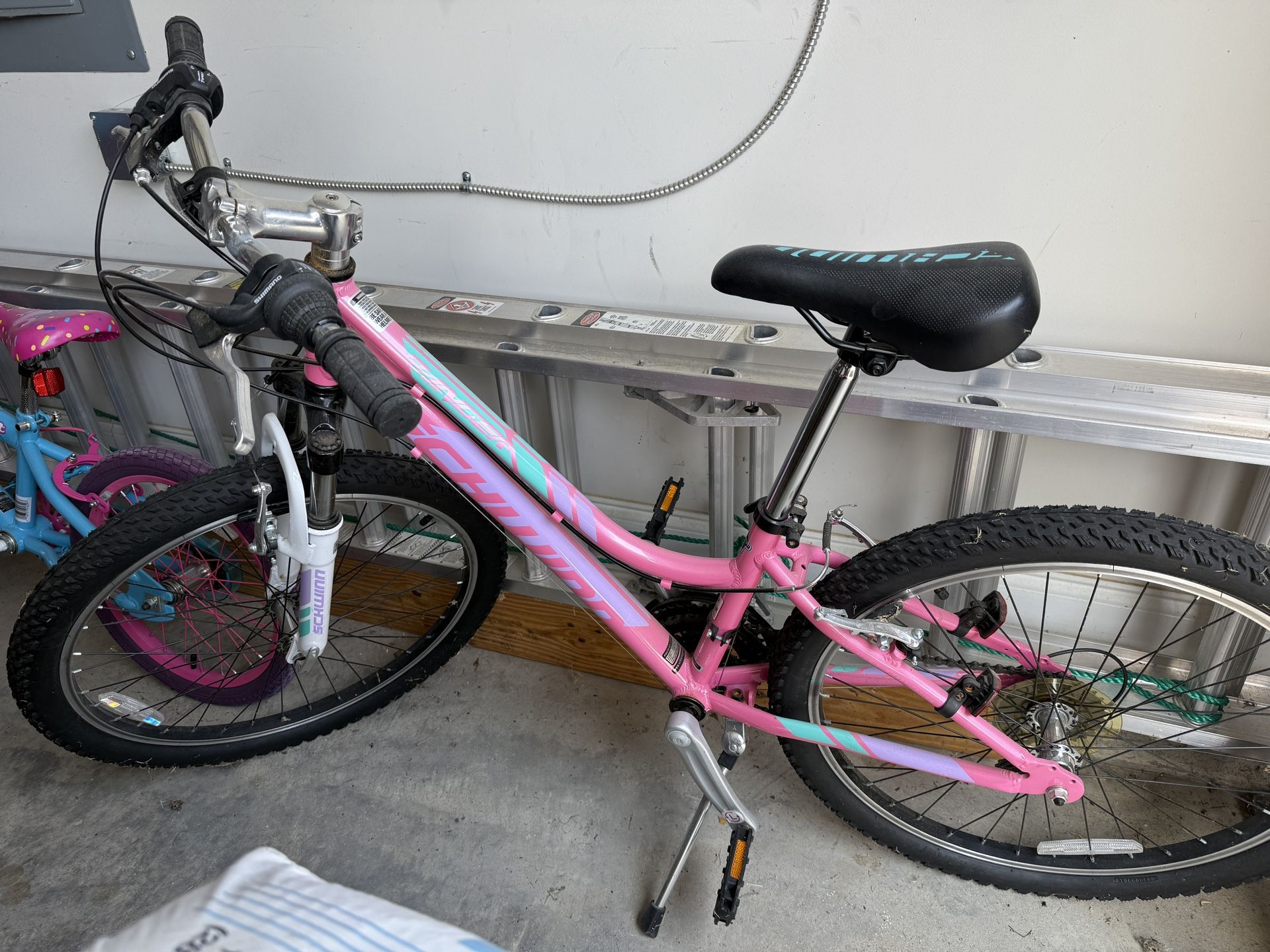 Schwinn 24 “Bike