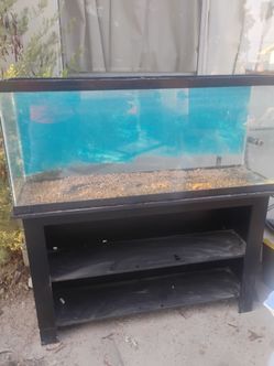 55 Gallon Aquarium with Stand