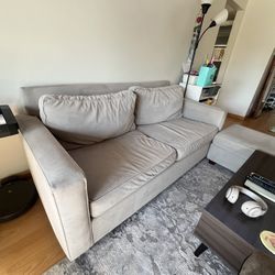 Light Grey Couch