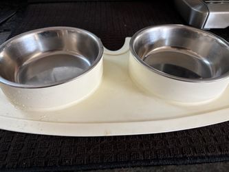 Dog Bowl