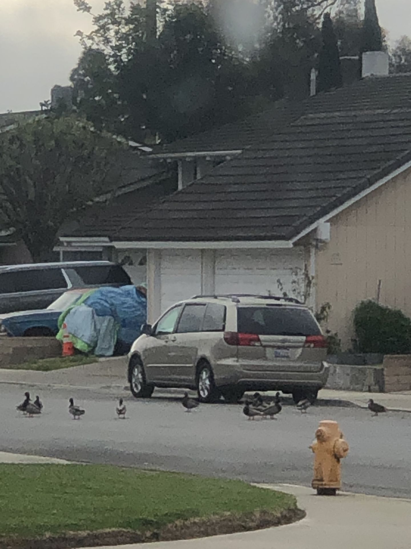 Huge neighborhood yard sale Saturday 7 AM to 11 AM -March 21st (Newland/Adams in Huntington Beach ) Center : 19931 briarly lane Huntington Beach