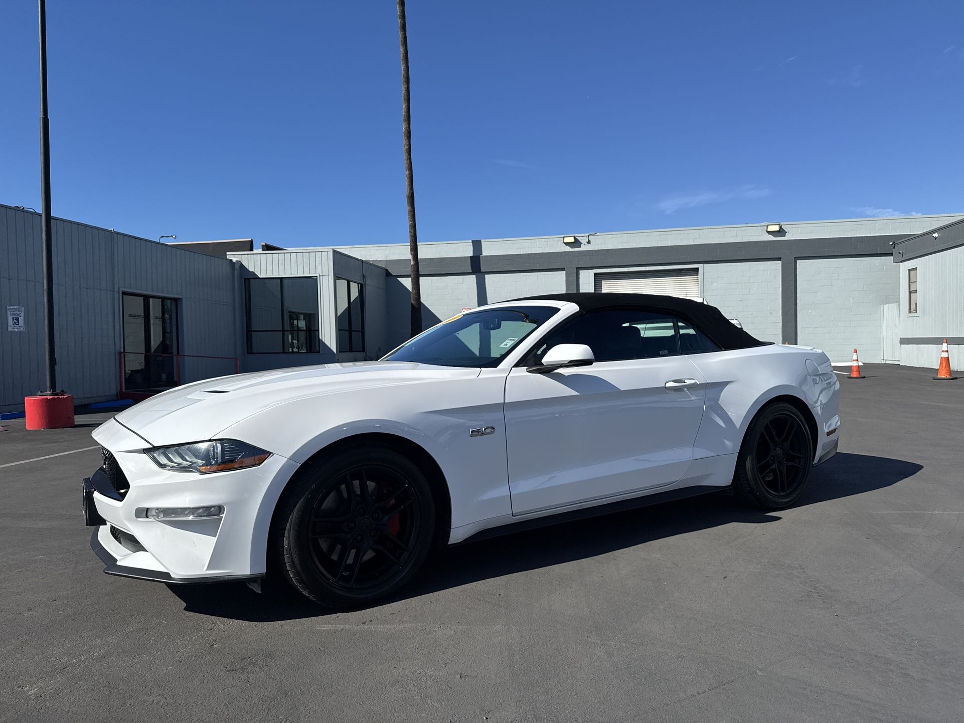 2019 Ford Mustang