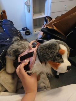 Stuffed animal dog, Essa
