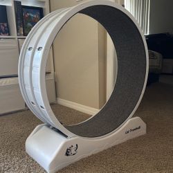 COZIWOW Cat Exercise Wheel Cat Treadmill