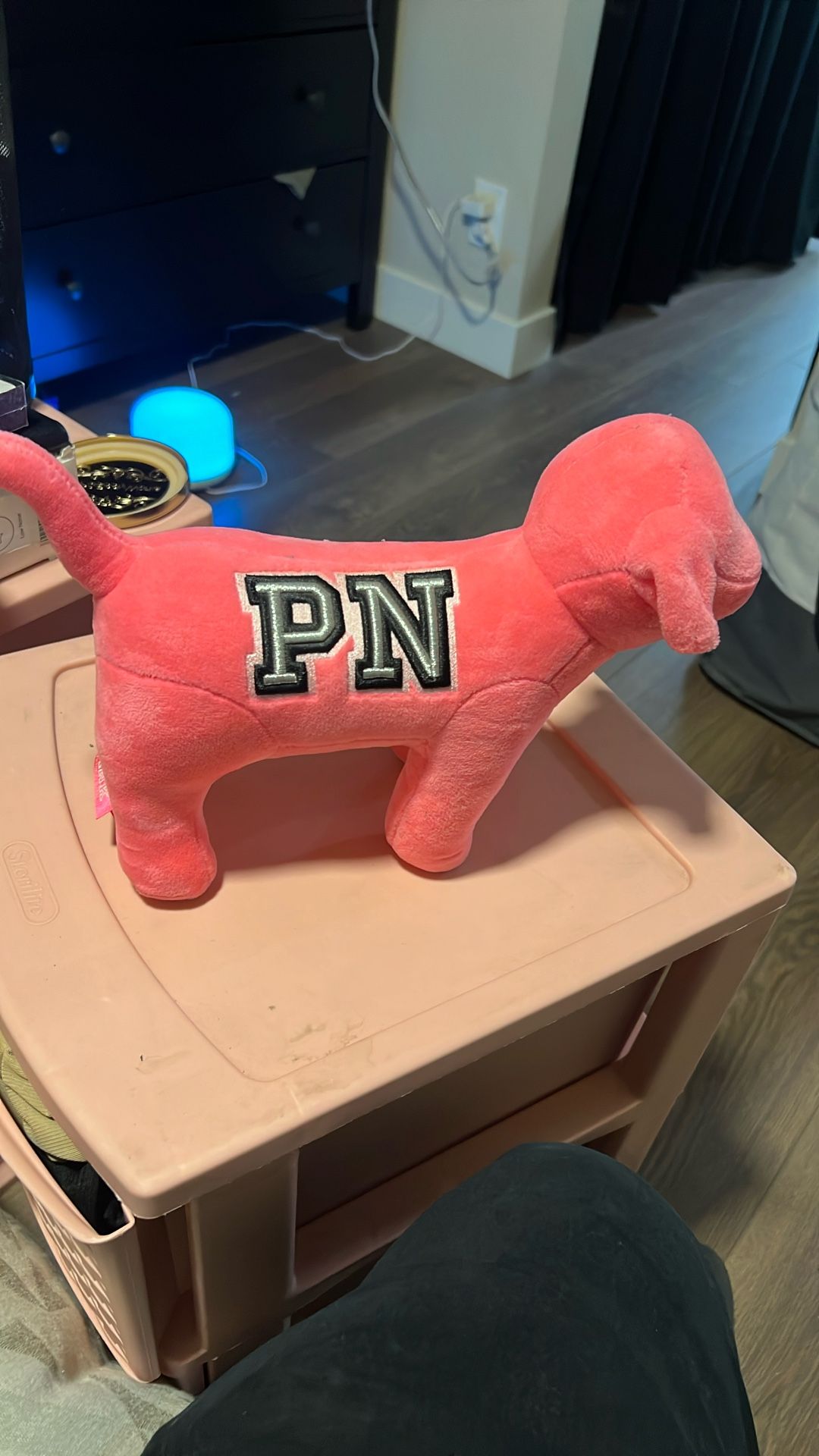 Large Pink VS Dog 
