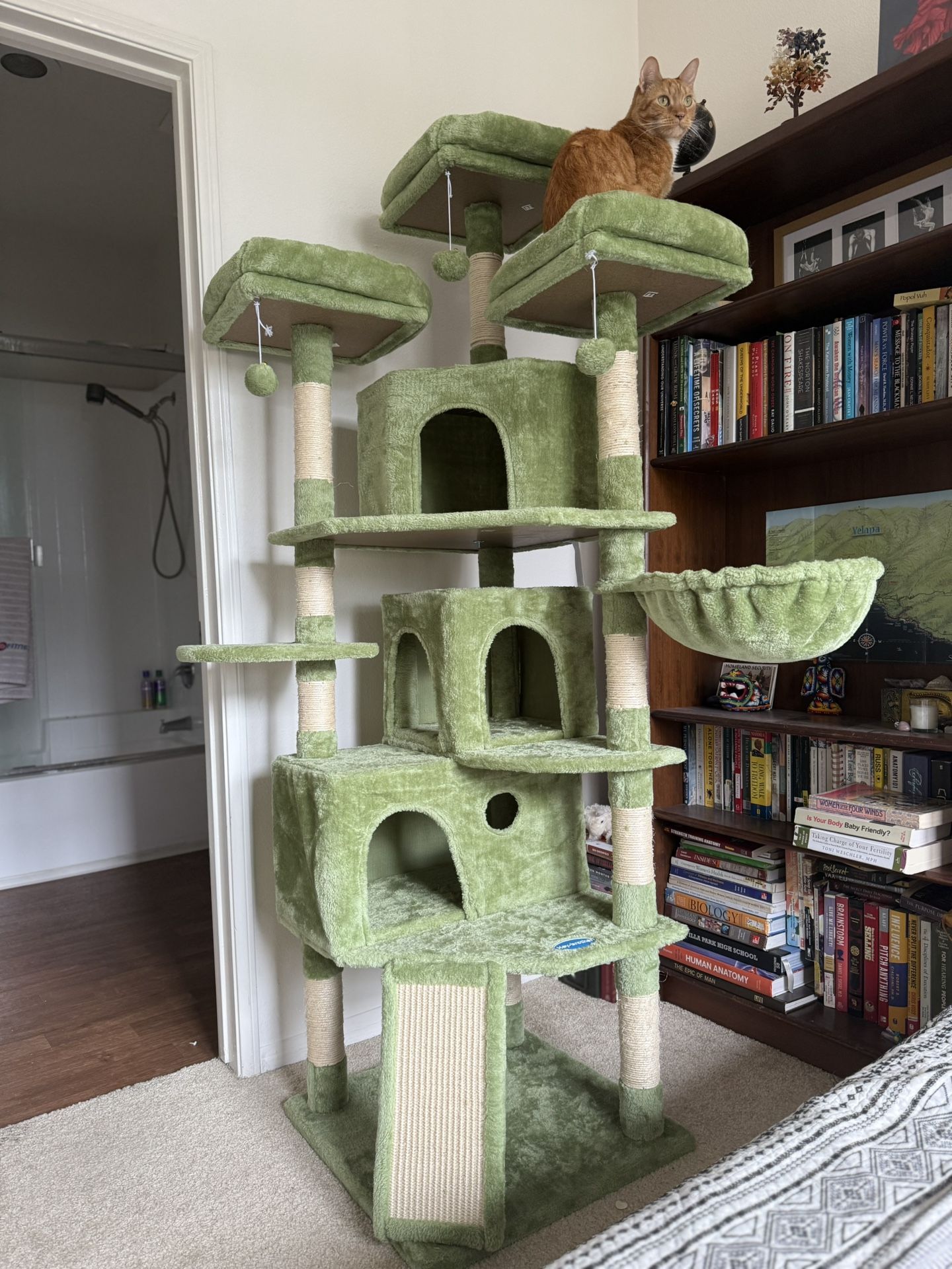 Level Cat Tower