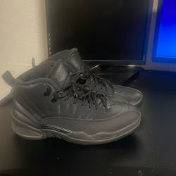 Jordan 12 Retro Winter 