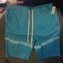 Man’s Arizona  Jogger Short