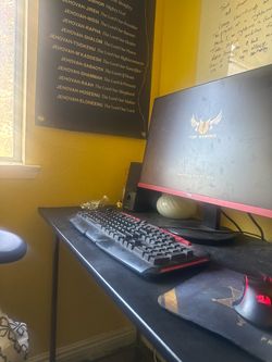 Gaming PC (& Monitor)