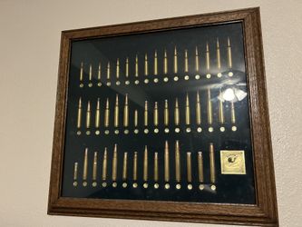 TATONKA CARTRIDGE DISPLAY CASE