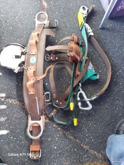 Gaffs  spikes  and  belt