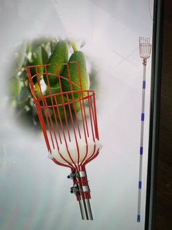 Fruit picking cane tool with basket with adjustable 80-inch long handle