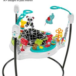 Fisher Price Bouncer 