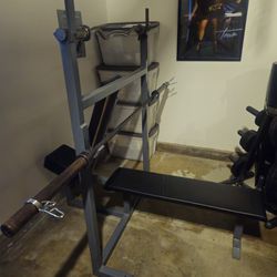Weight Bench, 20lb Curl Bar, 45lb Barbell, Plate Tree