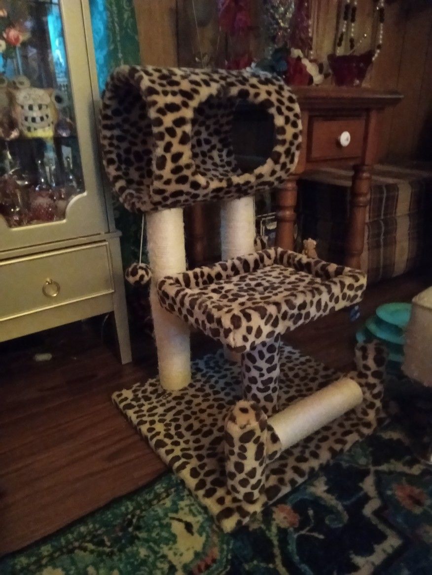 Cat Condo