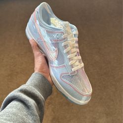 Size 10.5 Nike Dunk Low Passport