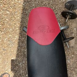 Bowflex Bench + Steel Weights + Dumbells