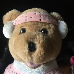 Teddy  Bear  Ice Sings Snow 