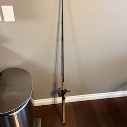 Salmon/steelhead Set Up 