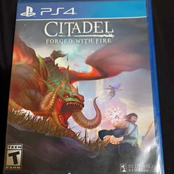 Citadel forged in fire ps4