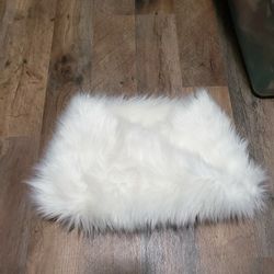 Faux Fur Collar