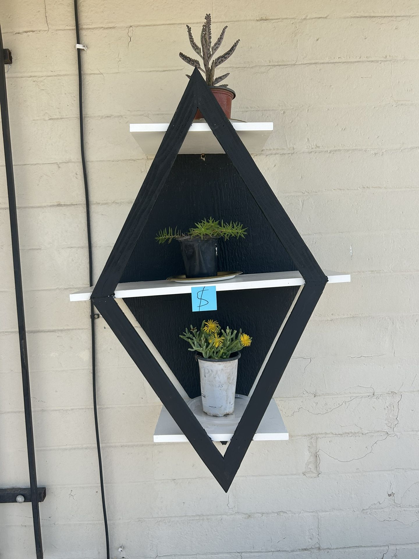 Patio Plant Decor