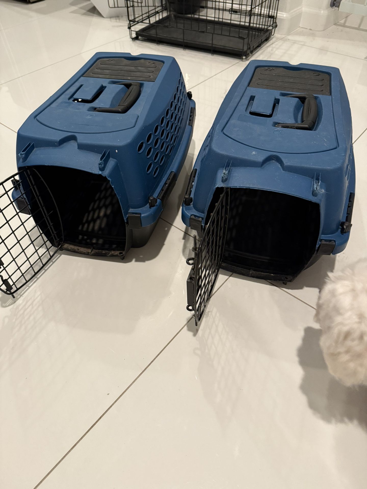 Dog Or Cat Crates $15 Each Puppie Kitchen Size
