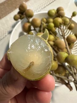 Organic Homegrown Longan Fruit