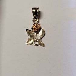 14 K GOLD  PENDANT