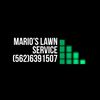Mario Lawn Service
