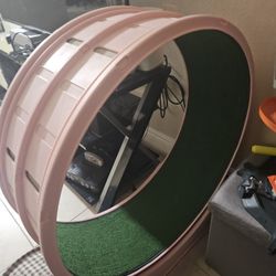 Cat Exercise Wheel