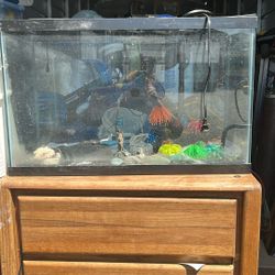 Fish Tank