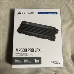 MP600 PRO LPX 1TB PS5 SSD