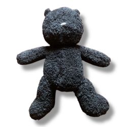 Black teddy Bear