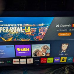 LG 65" 4K LED TV