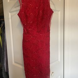 Stunning Red Lace & Sequins Dress—Adrianna Papell—XS