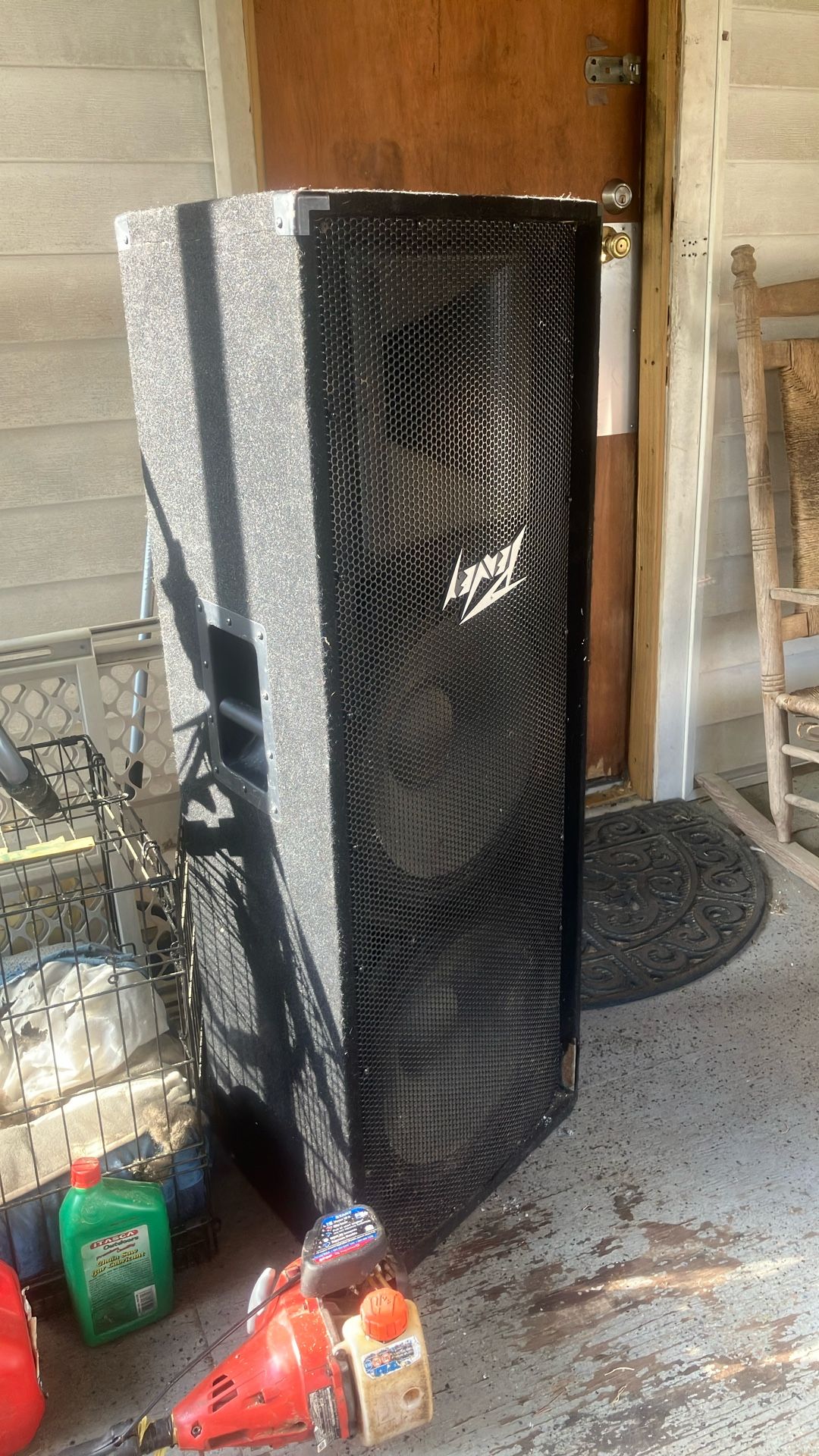 Peavey Speaker