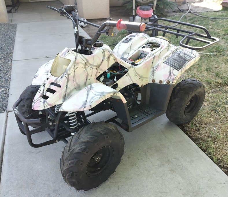 110cc Tao Motor ATV / Quad / 4 Wheeler 