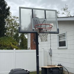 Adjustable Lifetime Elite Basketball hoop.  