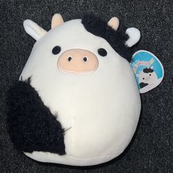 Squishmallow 