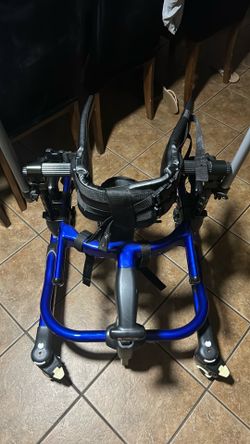 Special need walker