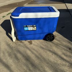 Igloo Cooler 