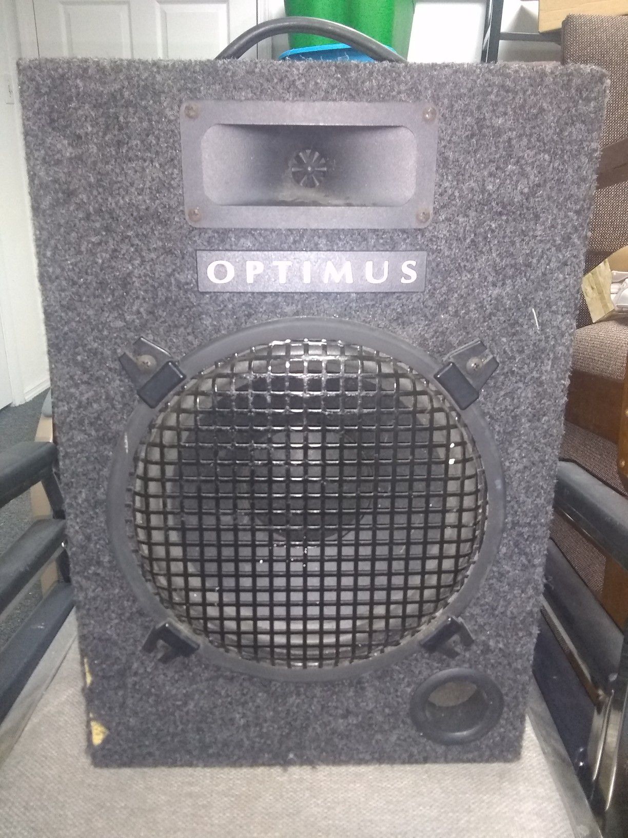 10" Speaker