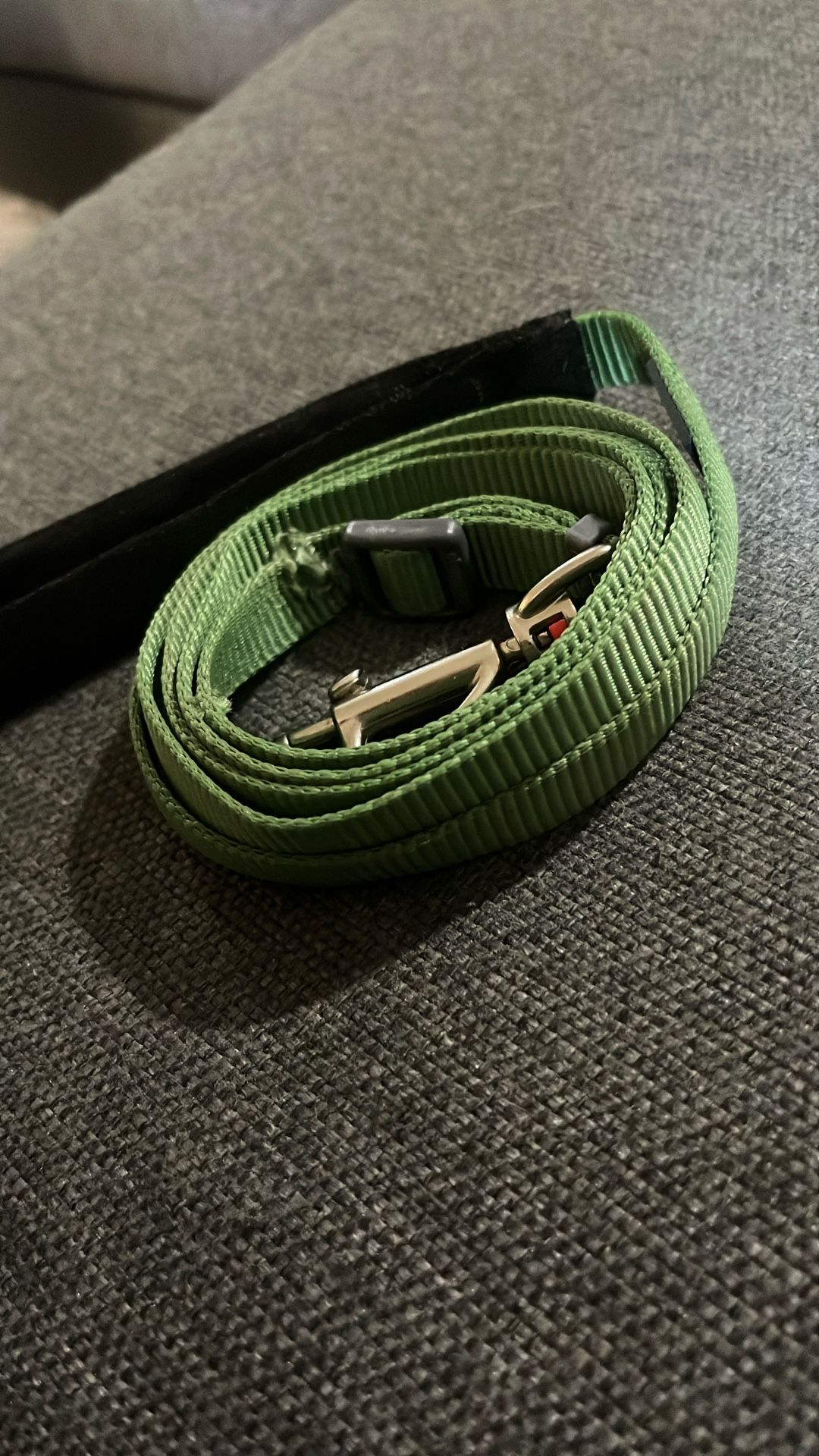 6 Ft Nylon Dog Leash