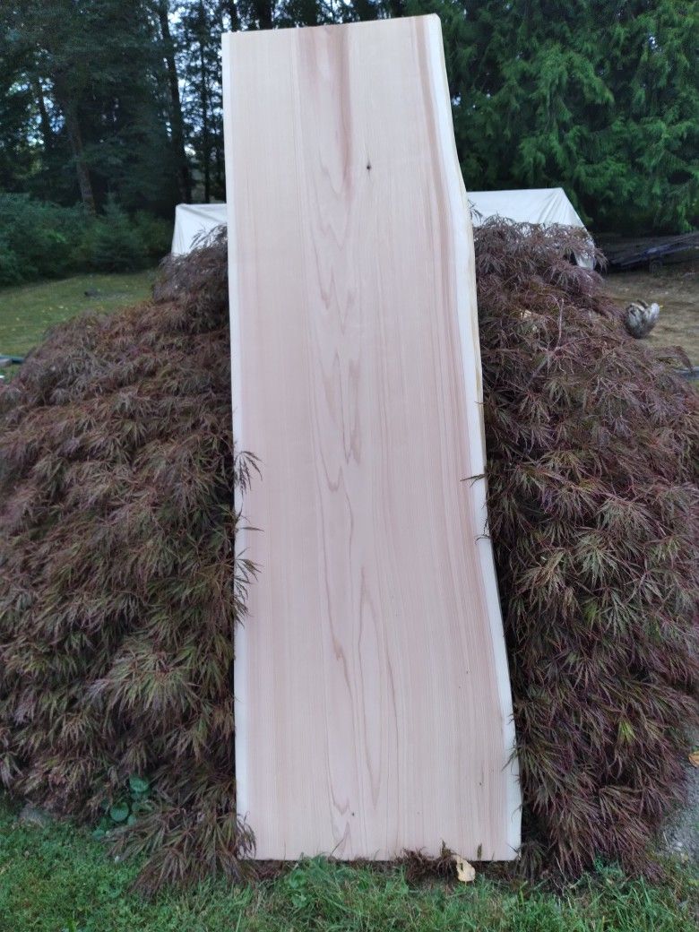 Double Live Edge Western Red Cedar Business equipment
