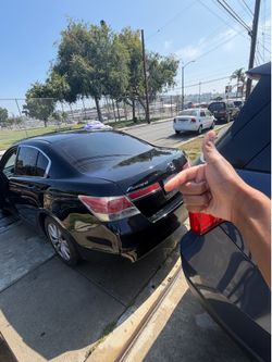 2011 Honda Accord