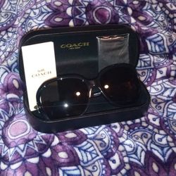 Coach New York Sunglasses